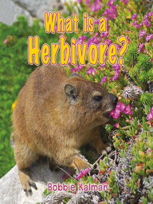 cover image of What is a Herbivore?